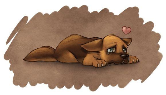 Влюблённый пёс.