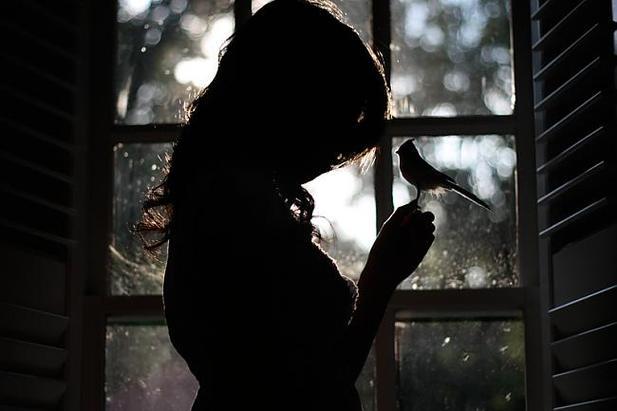 Развязка (отрывок из повести "Я пришел, чтобы судить")