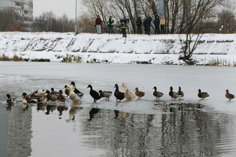 Ожидание весны