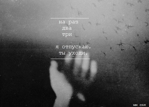 Книги заглушают шум.