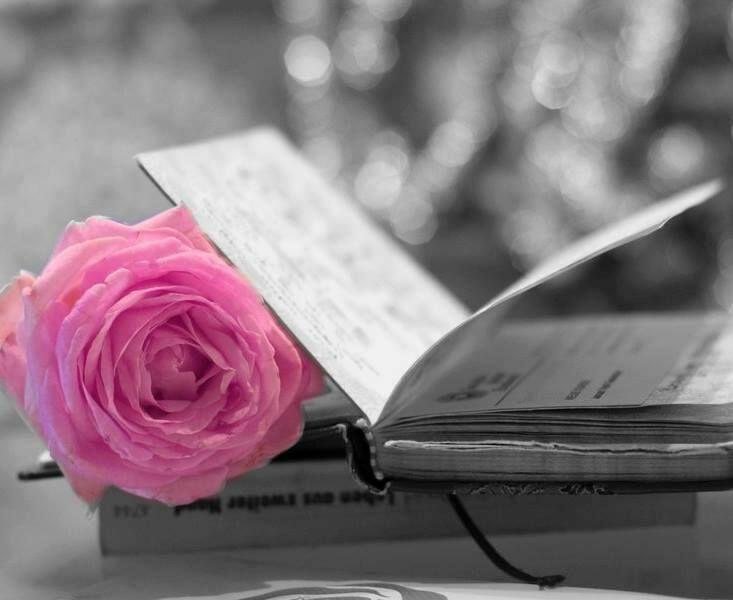 Жизнь поэта