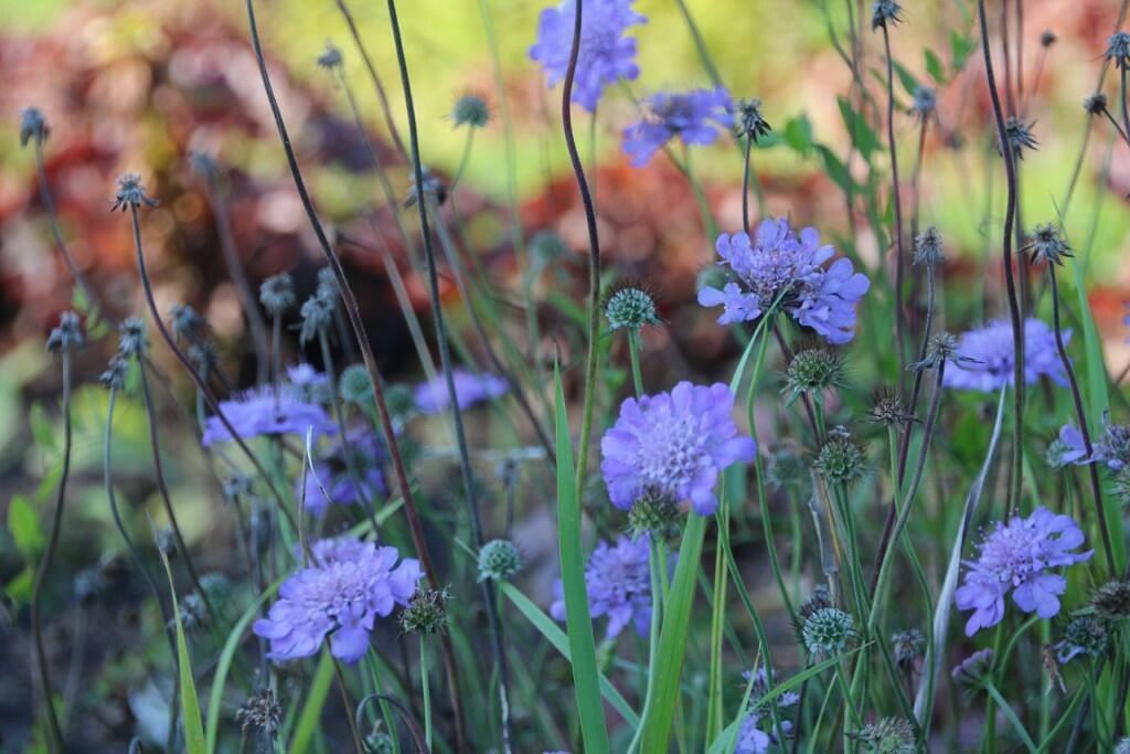 Проводы лета