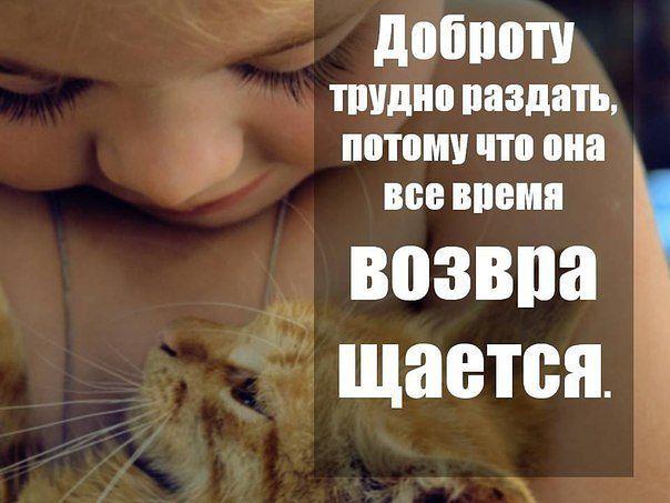 ДОБРО И ПОЛЬЗА