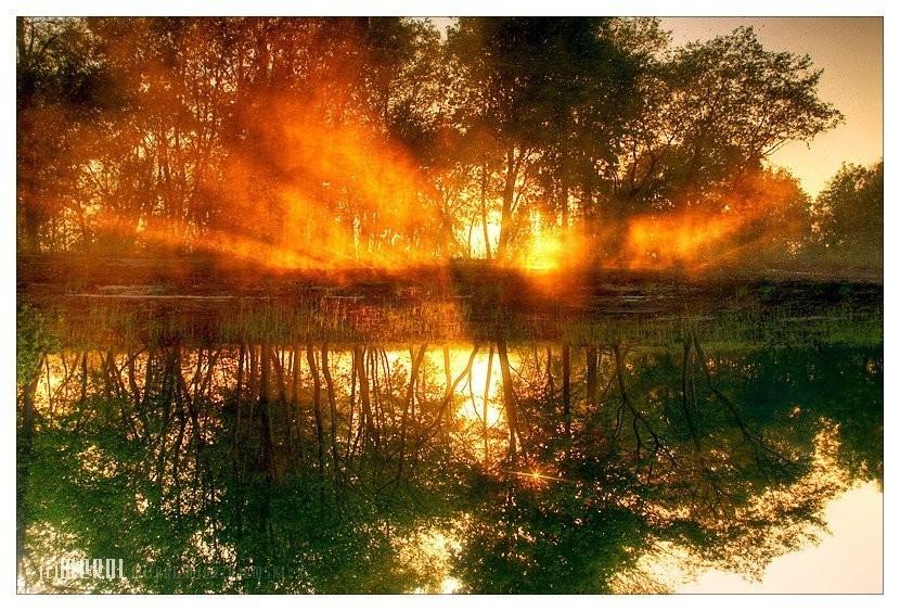 С добрым утром