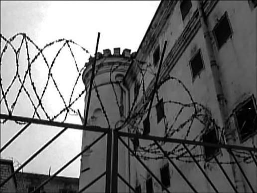 Свой или чужой?