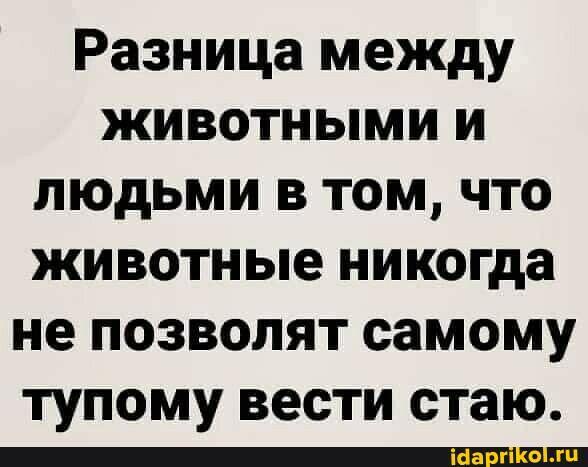 Напомнить бы США закон природы