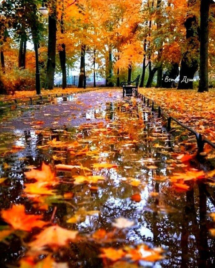 Песня на стихи "Вот и осень." Средина Ирина