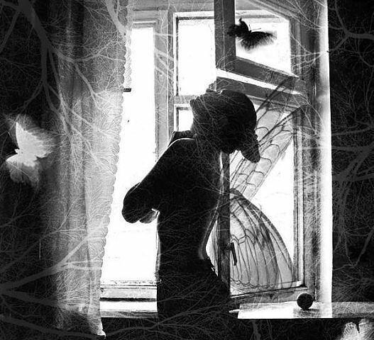 Лети за сёстрами, душа моя родная!