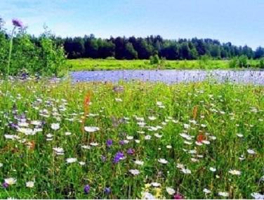 Что нужно мне как человеку?