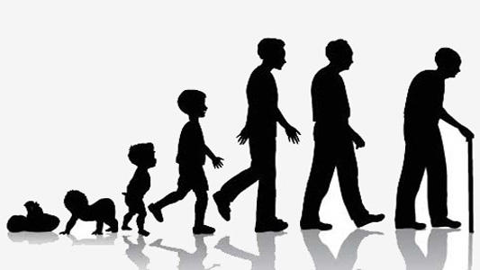 ЧЕСТНО ПРОЖИТАЯ ЖИЗНЬ