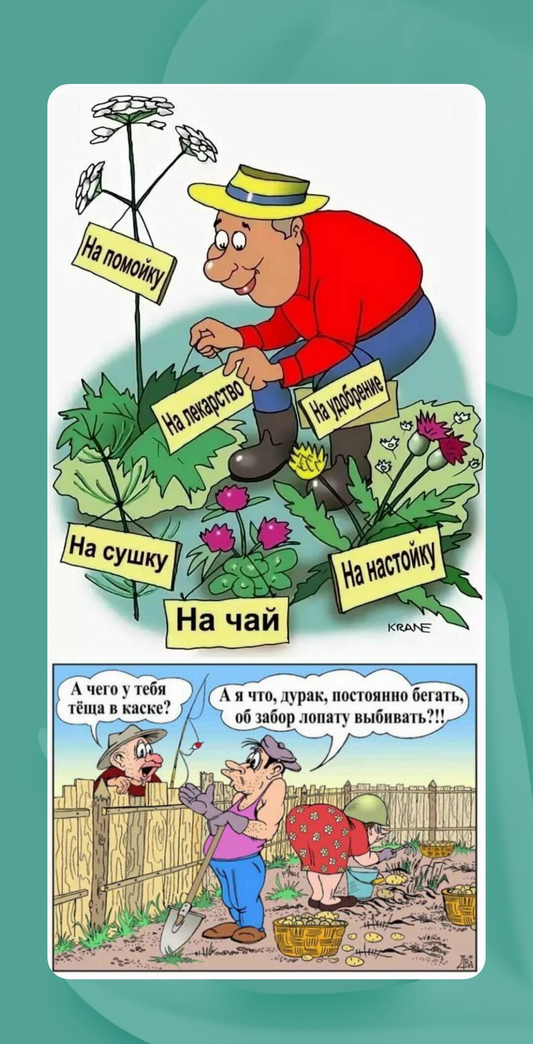 Поэзия в душе созреет...