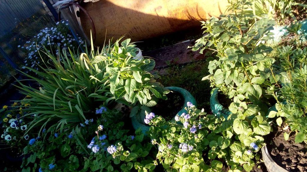 Хорошо под конец июля