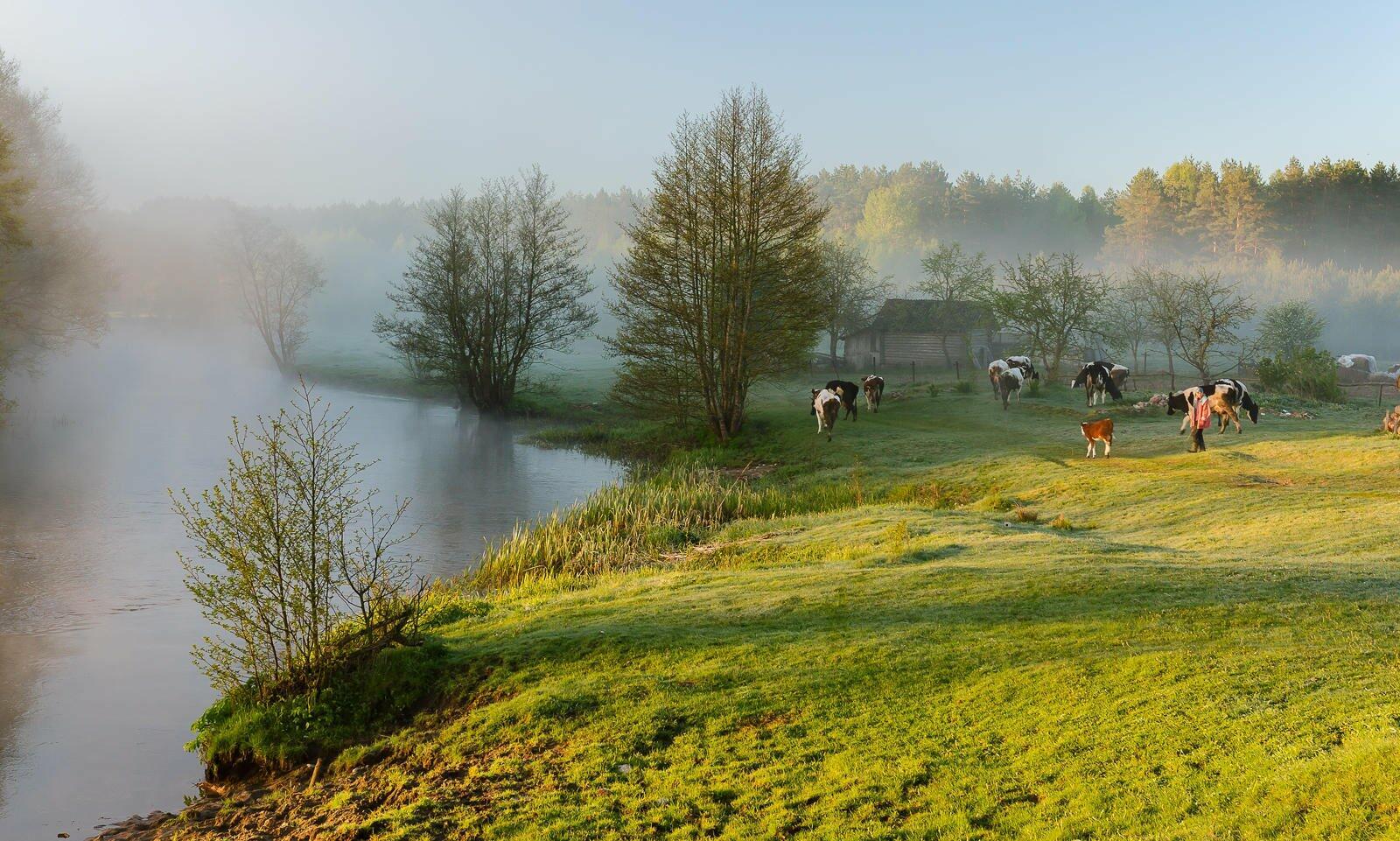 За околицей