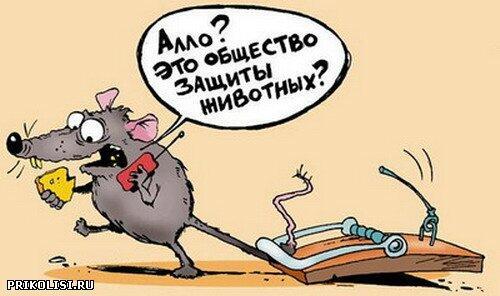 …отстранённость.