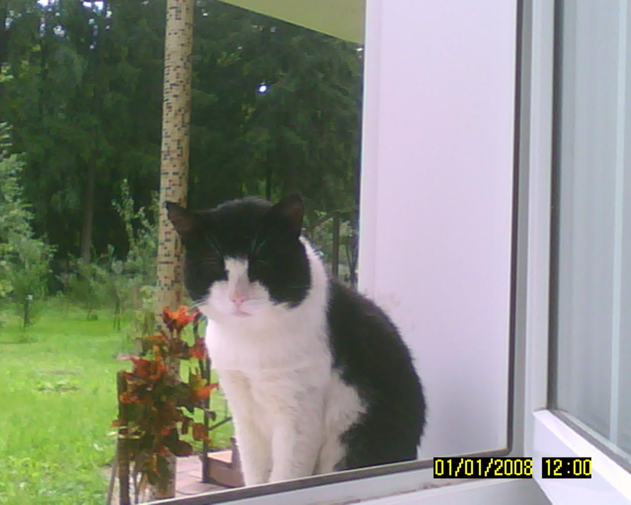 О пользе памяти