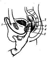 Слушая Радио России