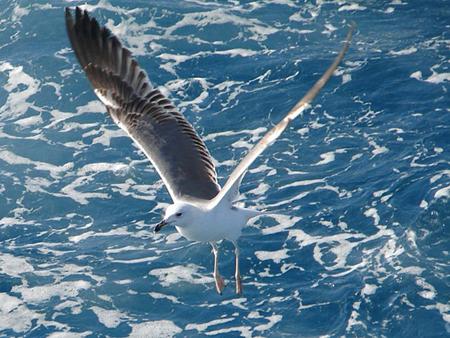 Память о море