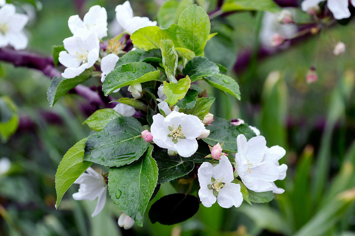 Берегите, берегите!