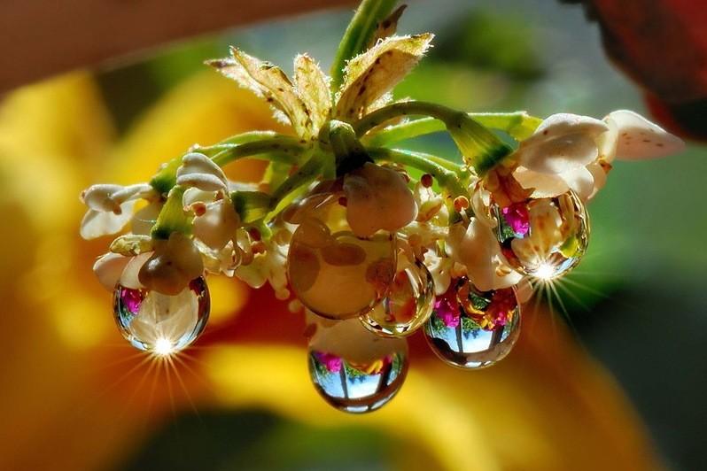 Монолог Музы.