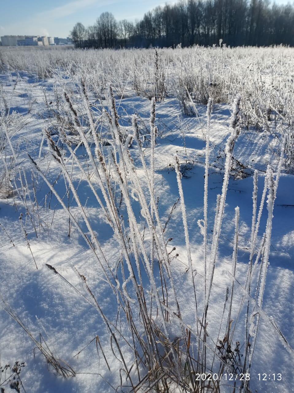  Крещенский снег... 