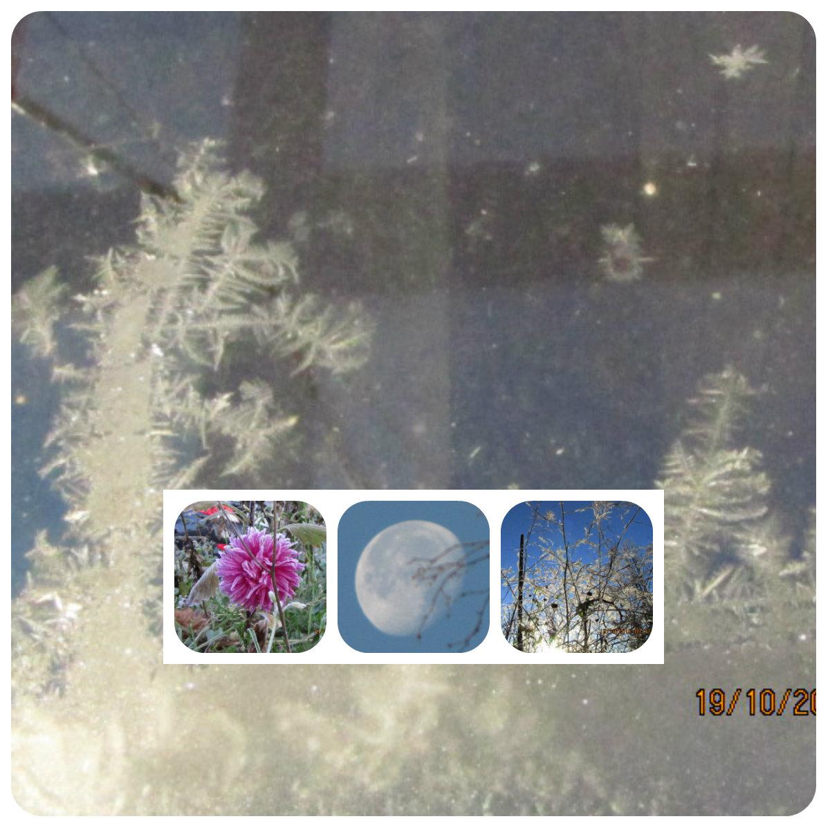 НЕЖДАНЧИКИ...