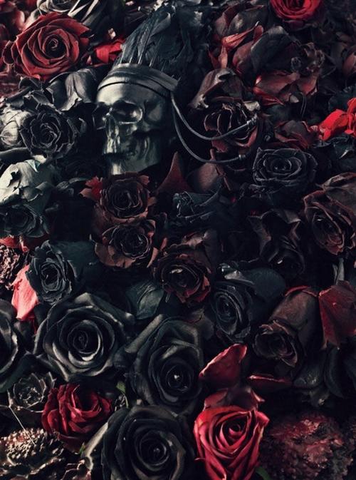 Мертвые Розы