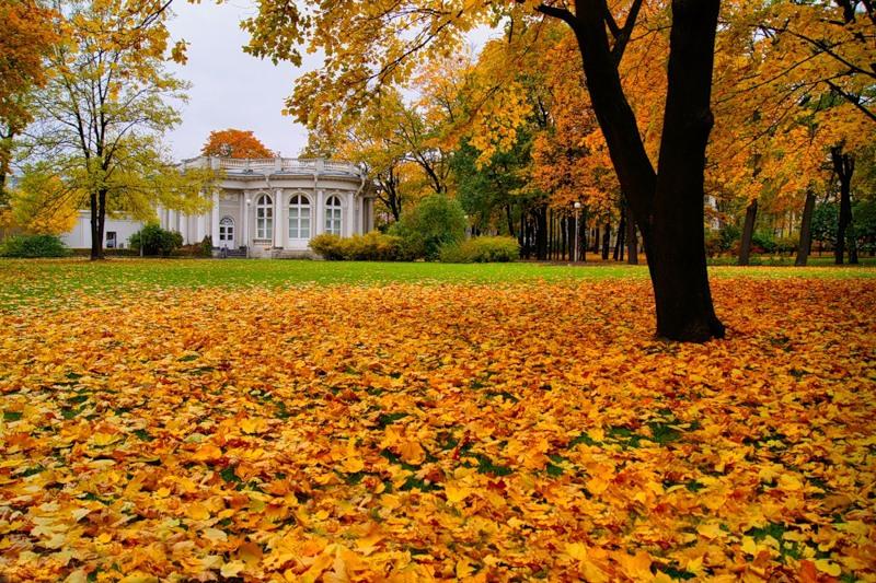 Режим осени