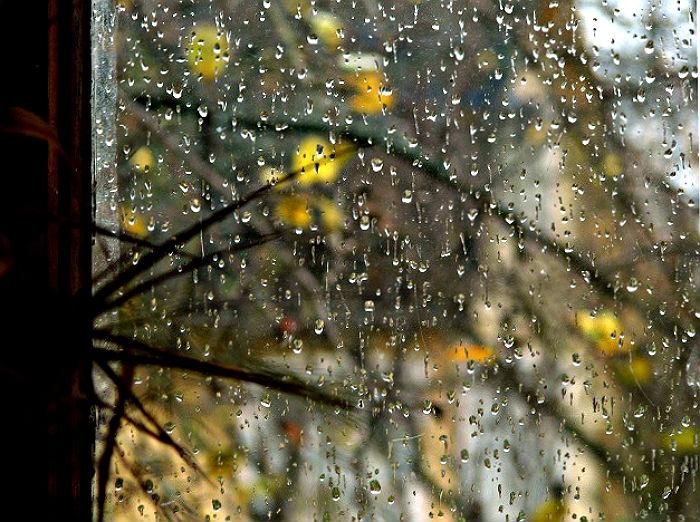 От беспорядка гибнет урожай