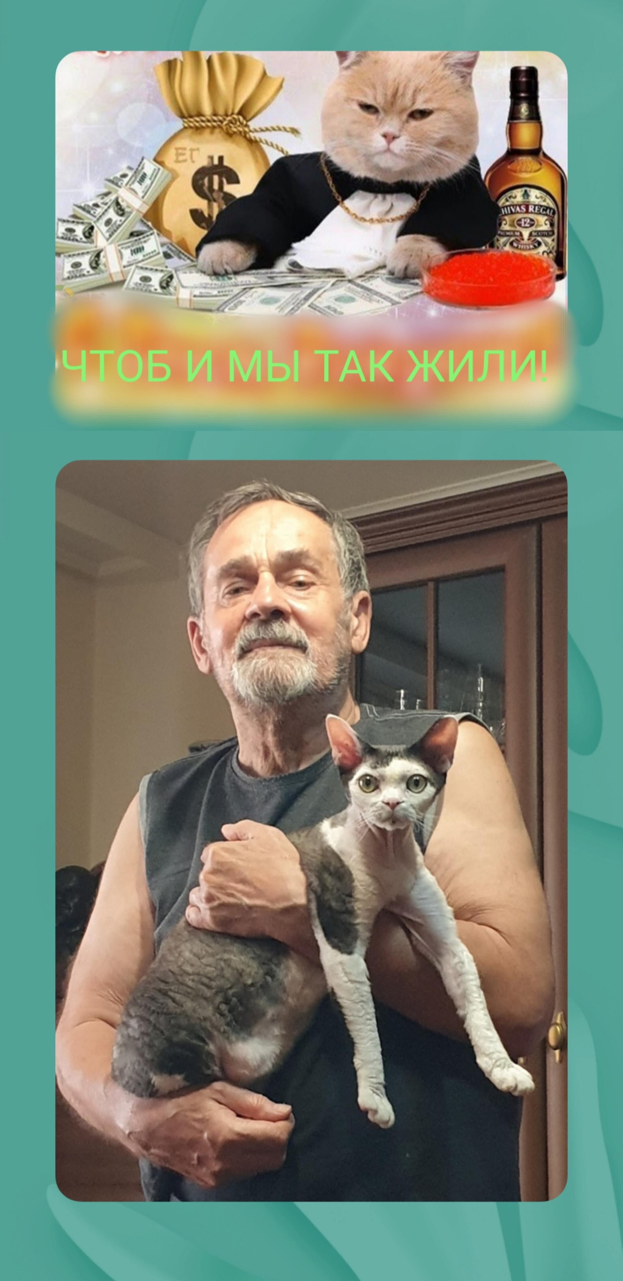 Танцуют все!