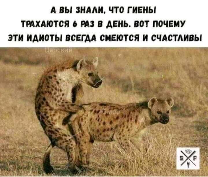 Секс...