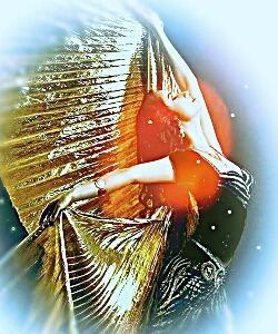 Магия крыльев