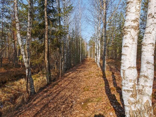 ПОСЛЕДНИЕ ДЕНЬКИ