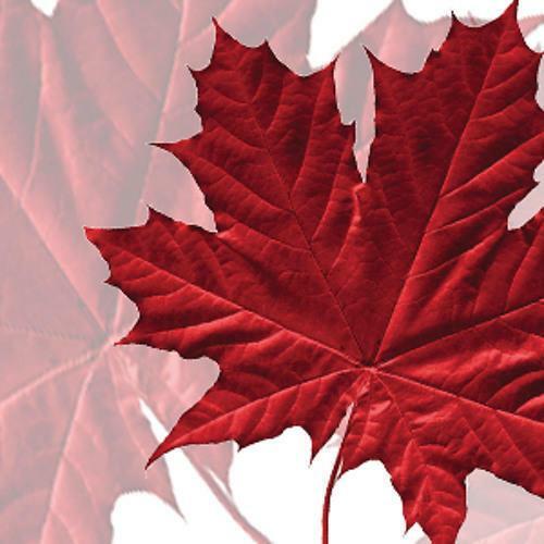 ❤️  ЗАКРУЖИЛА  В  ВАЛЬСЕ  ОСЕНЬ