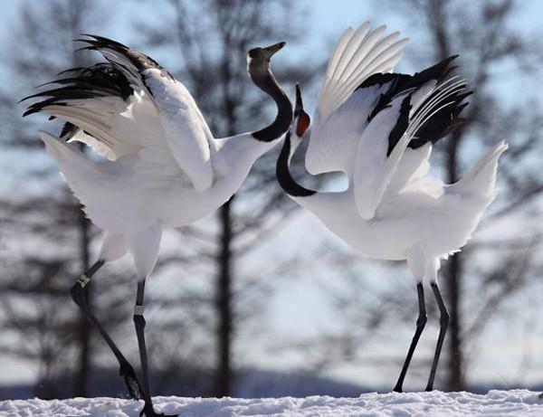 И ждущая… за стенкой… мать…