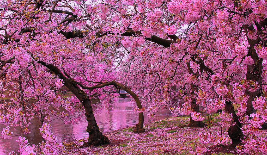 "Обрушенные надежды"