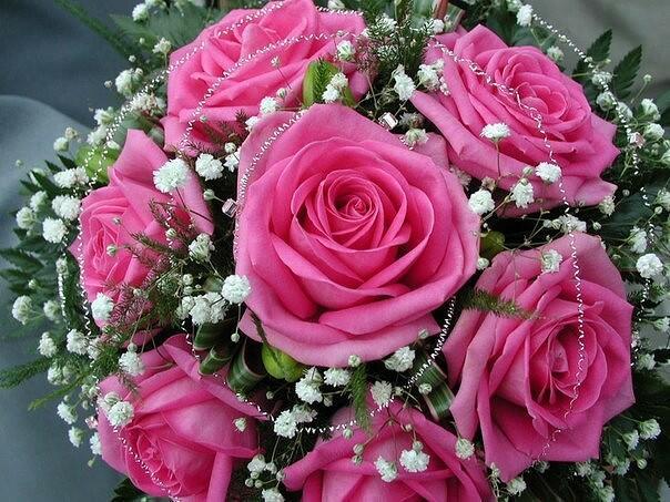 Моя духовная Жена 