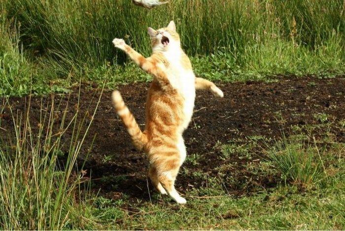 Дед видит сон.