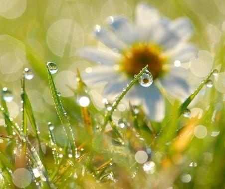 Ты только ничего не бойся...