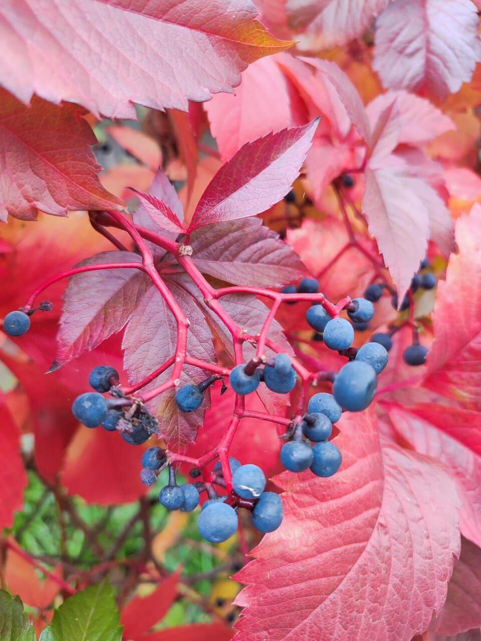 Ты нужен мне, Господь!