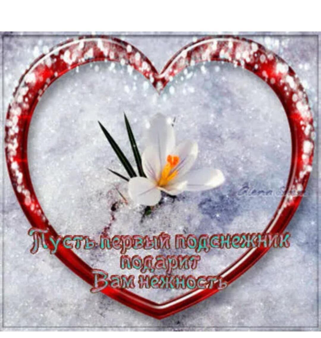 Подснежник