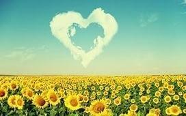 В природе изумительно