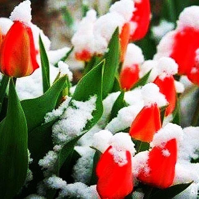 Постоянства нет!