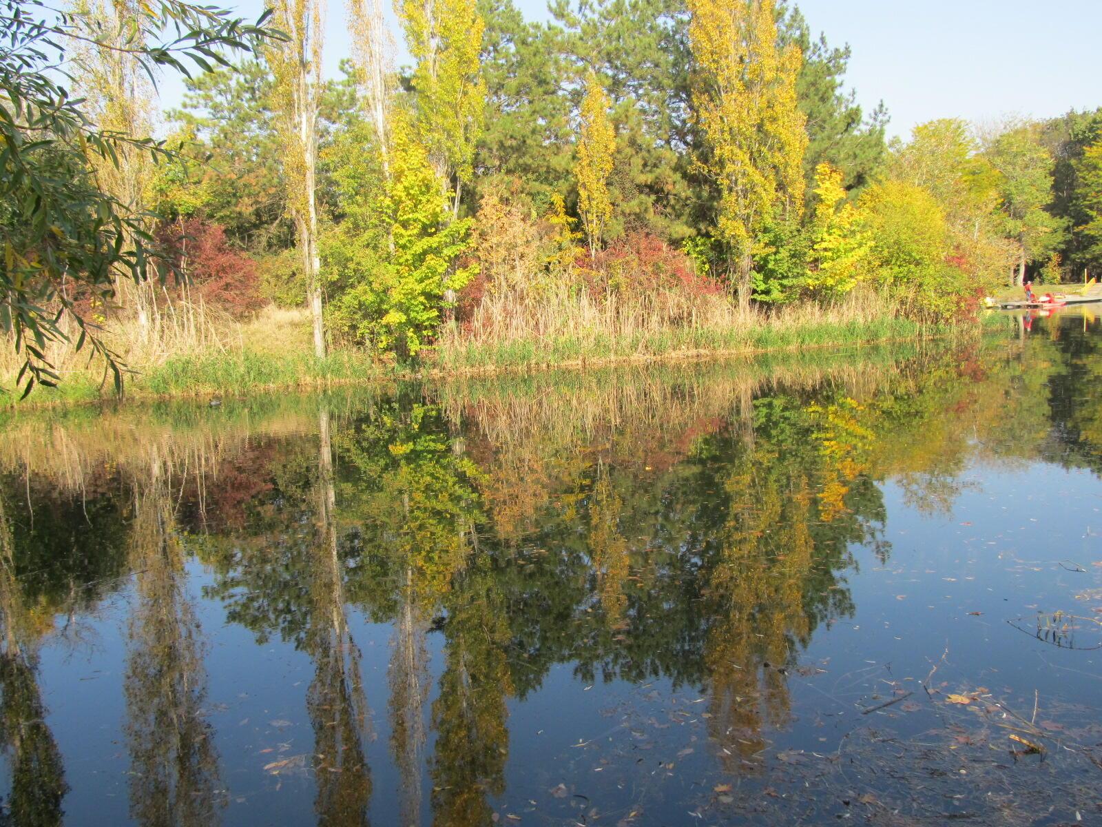 Ну что, Скорпионы?