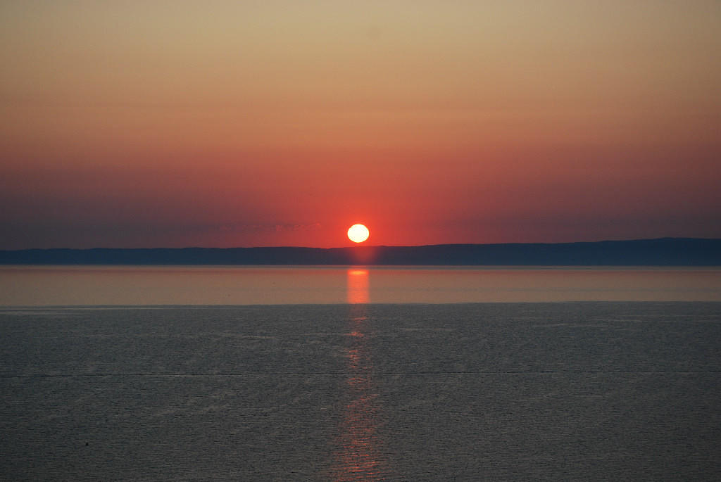 Орёл-светило