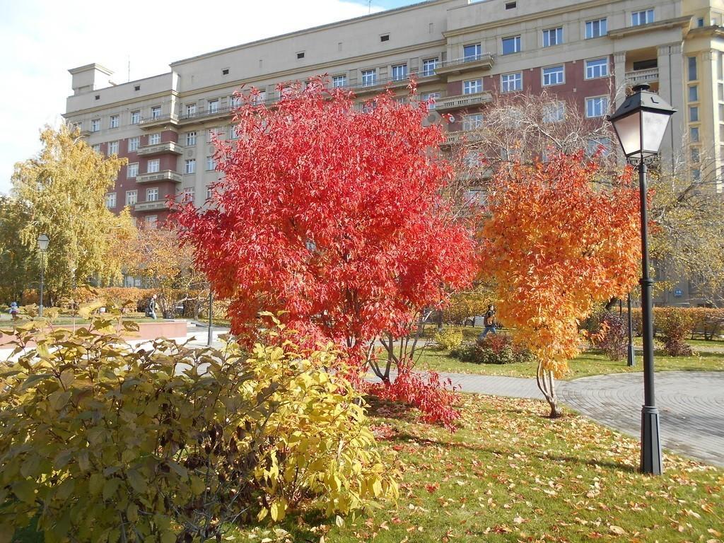 а дни идут...