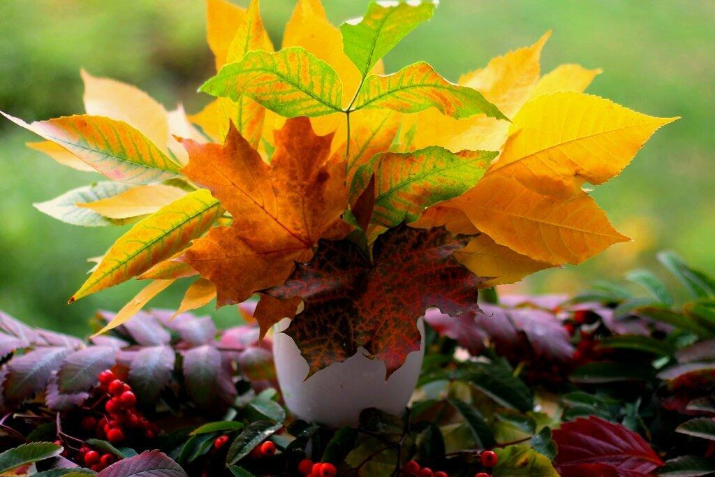 Осенние листья