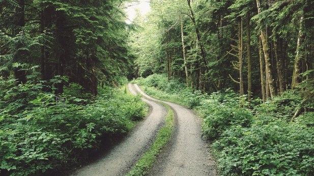 стих дорожный