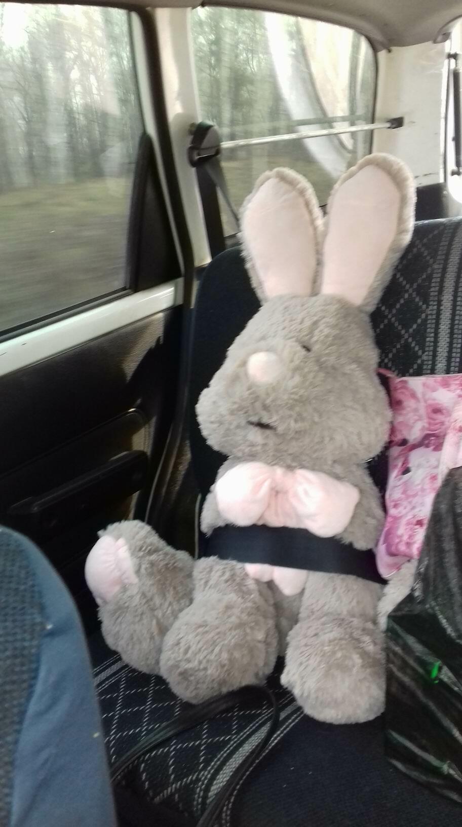 Игрушечный заяц