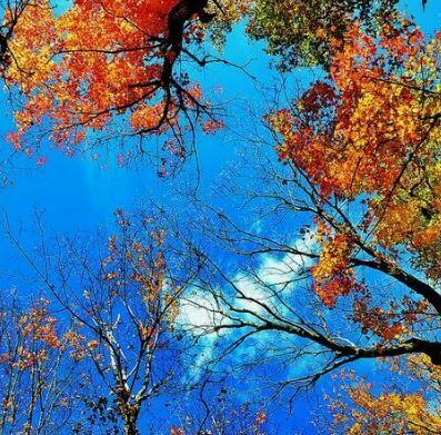  Теперь, когда ведаю мир....