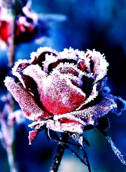 Показалось...